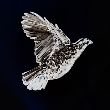 QUAIL logo