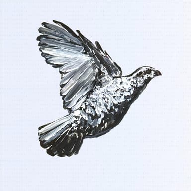 QUAIL logo